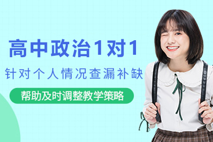 天津高中政治一对一精讲:个性化学习路径全解析