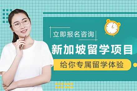 新加坡留学精英通道:定制化申请全攻略