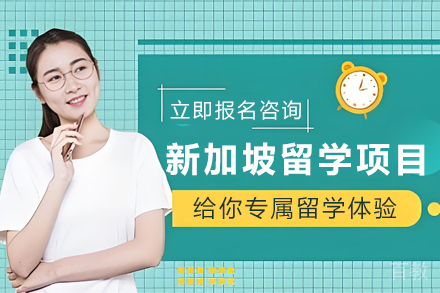 新加坡留学精英通道:定制化申请全攻略