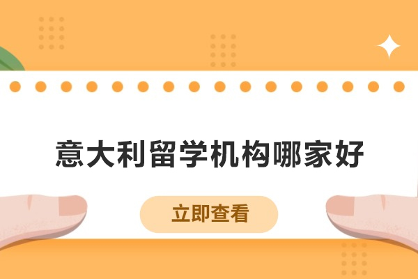 武汉意大利留学机构哪家好-意盟意大利语中心