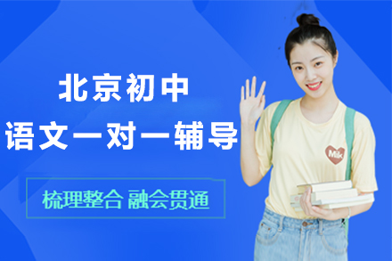 北京初中语文一对一辅导