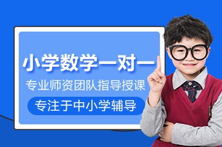 小学数学一对一培训班