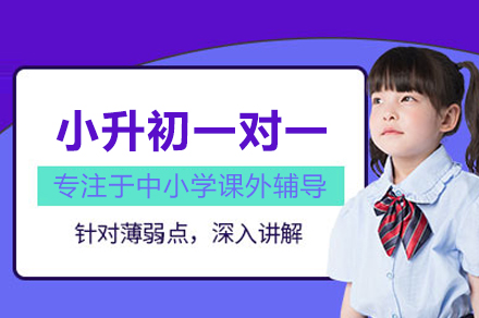 小升初一对一培训班