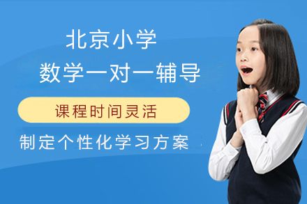 北京小学数学一对一辅导