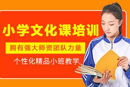 沈陽小學文化課培訓班
