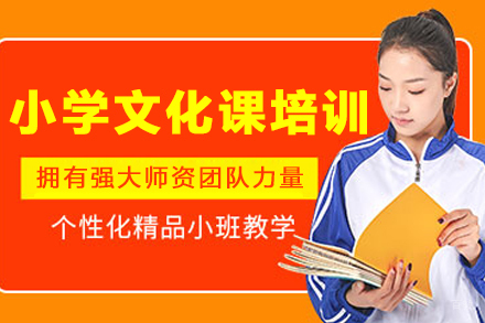 沈阳小学文化课培训班