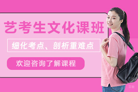 沈阳艺考生文化课培训班