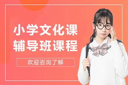 大连小学文化课辅导班