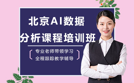 北京AI数据分析课程培训班