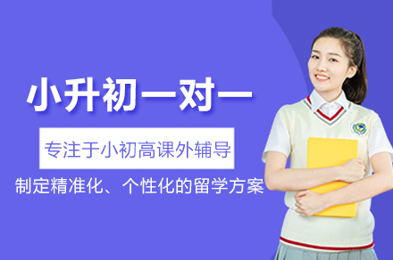 武汉小升初备考高效辅导策略