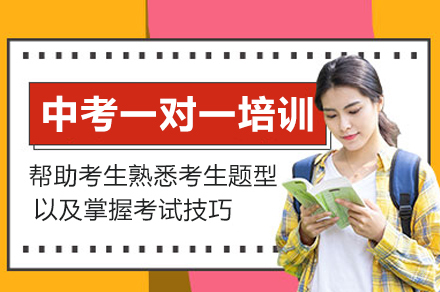 成都中考一对一培训班