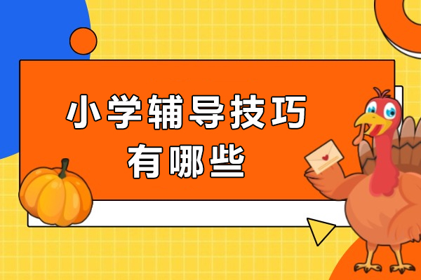 小学辅导技巧有哪些