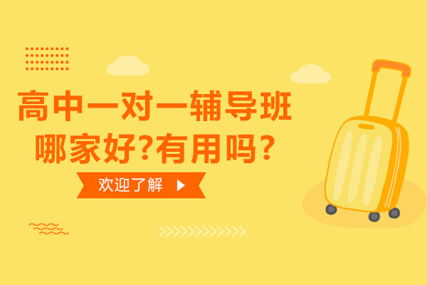 苏州高中一对一辅导班哪家好-有用吗