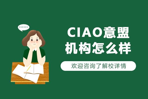 沈阳CIAO意盟培训机构教学实力深度解析:课程与师资全面剖析