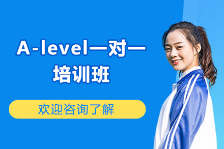 济南A-level一对一培训班