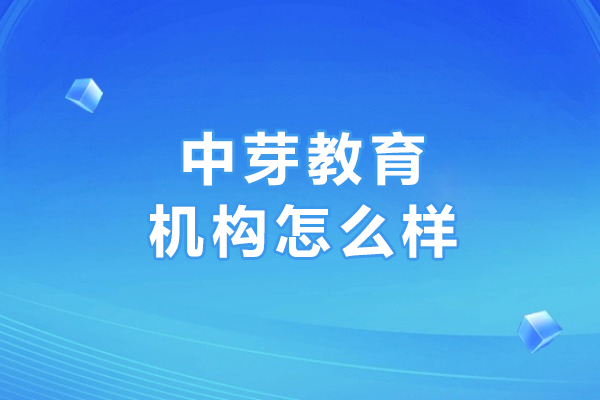 大連中芽教育機構怎么樣