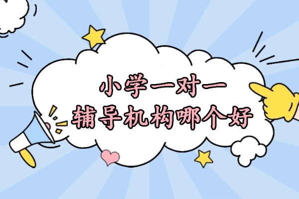 北京小学一对一辅导机构哪个好-赫京师教育