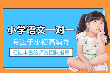小学语文一对一培训班