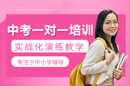 中考一对一培训班
