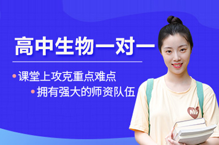 高中生物一对一培训班