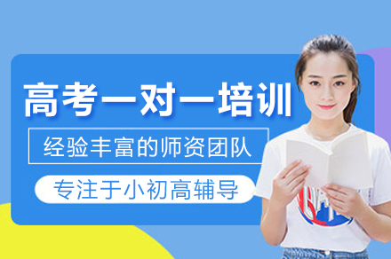 高考一对一培训班