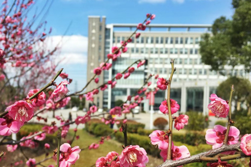 学校环境5