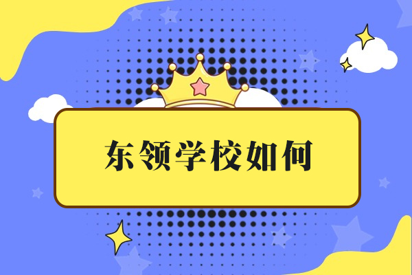 上海东领学校如何