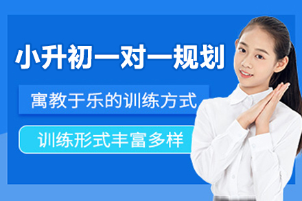 杭州小升初一对一规划辅导班