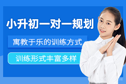 杭州小升初一对一规划辅导班