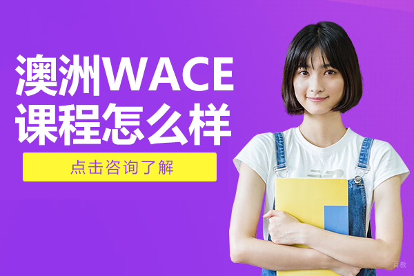上海爱菊学校WACE课程深度解析:直通全球的黄金教育体系