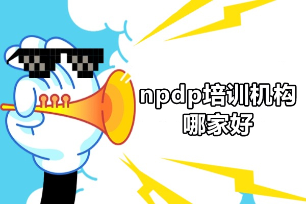 深圳NPDP培训专业解析:世纪卓越机构的权威优势详解