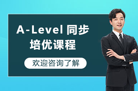 上海alevel同步培优课程