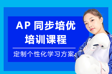上海AP同步培优课程