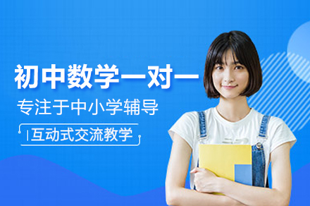京城初中数学一对一辅导方案深度解析