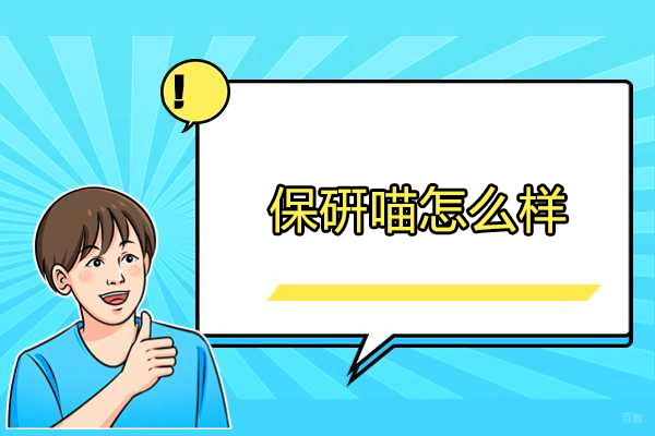 济南保硏喵怎么样
