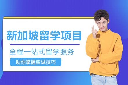 成都新加坡留学项目