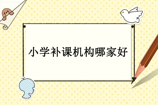 北京小学补课机构哪家好-北京伴知教育