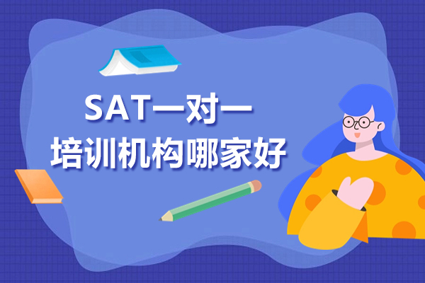 上海SAT一对一培训机构哪家好-新课堂教育