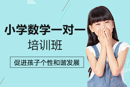 南昌小学数学一对一培训班