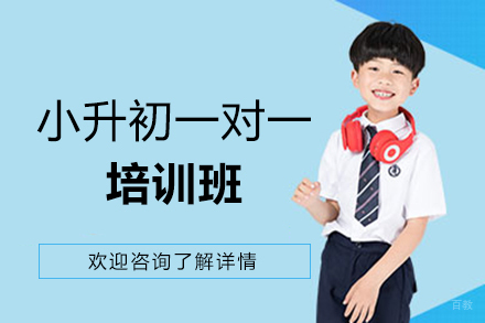 南昌小升初一对一培训班