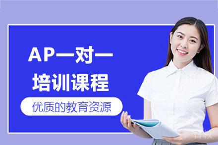 上海AP一对一培训课程
