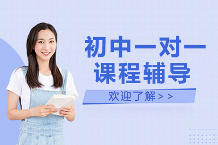 初中一对一课程辅导