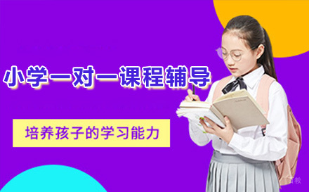初中一对一课程辅导