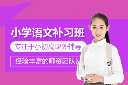 北京小学语文补习班