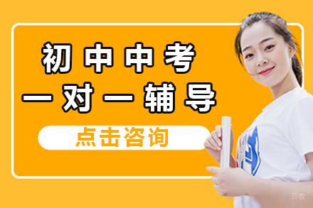 北京初中中考一对辅导