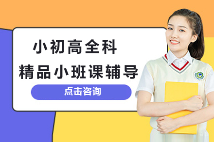 北京小初高全科辅导
