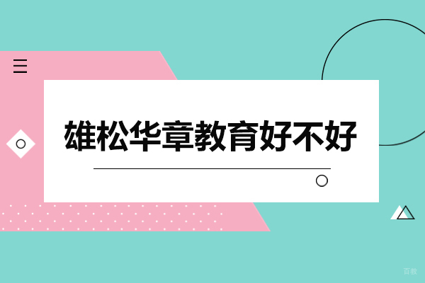 深圳雄松华章教育好不好