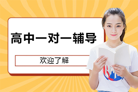 北京高中一对一辅导