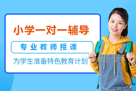 北京小学辅导一对一