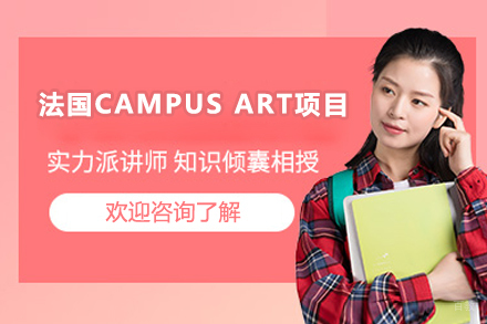 法国CAMPUSART项目